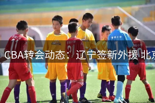 CBA转会动态：辽宁签新外援 北京顶薪留核心 山东敲定第二外援